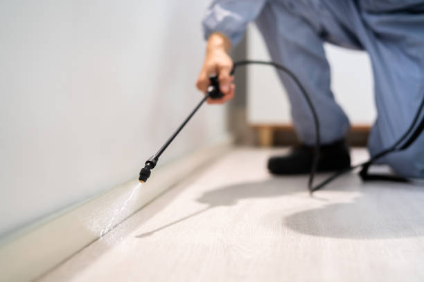 Licensed Pest Control service in Stone Ridge, NY - Show Me Pest Control