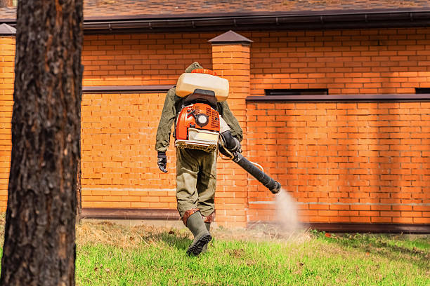 Bed Bug Clearance Verification and Documentation in Stone Ridge